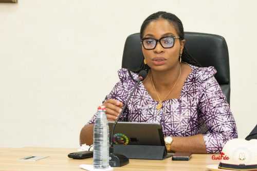 Discours de Mme la Ministre des Postes, des Télécommunications et de l’Economie Numérique au CNT sur le projet de loi APDP