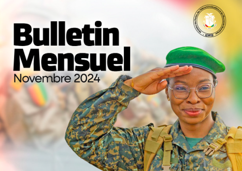 Bulletin numérique Novembre 2024